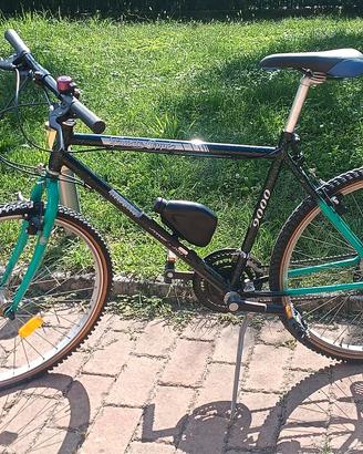 mtb vintage 
