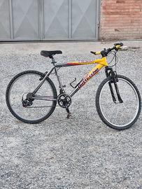 Bicicletta Bottecchia FX500 - Bici 