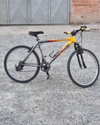 Bicicletta Bottecchia FX500 - Bici 