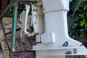 Johnson 110 vro 2 tempi