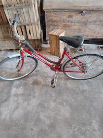 Bicicletta uomo e donna.