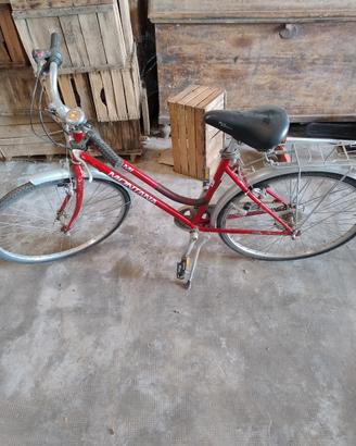 Bicicletta uomo e donna.