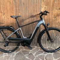 Cannondale Tesoro Neo X Speed 750Wh