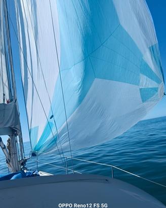 vela Jennaker Olimpico Sail