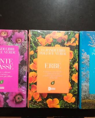 I GRANDI LIBRI POLIICE VERDE