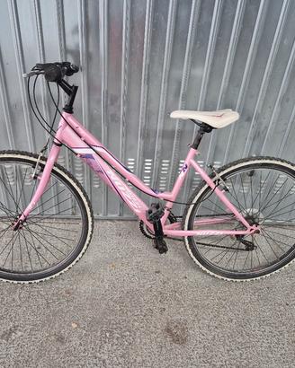 MTB raggio 26