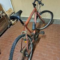 bicicletta