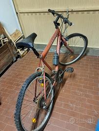 bicicletta