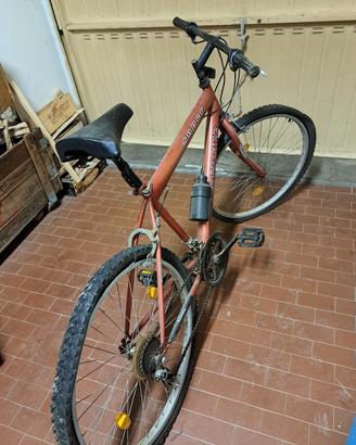 bicicletta