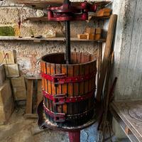 Torchio a mano per uva 50 cm