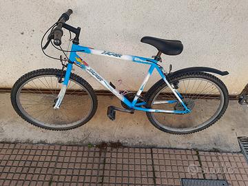 bicicletta 