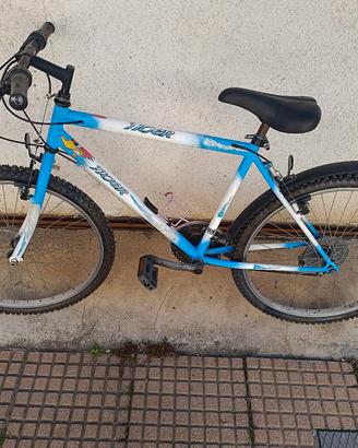 bicicletta 