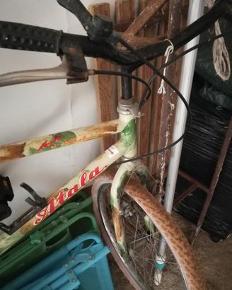 bicicletta per bambino 