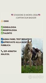 Stagione di monta 2026