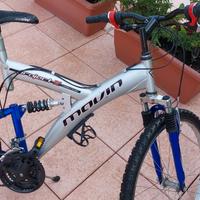 mountain bike