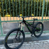 Specialized enduro comp
