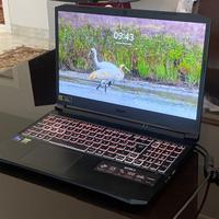 Notebook Gaming Acer Nitro 5 in GARANZIA i9-11900H