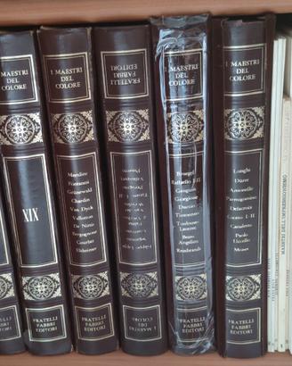 Lotto libri Trieste Istria Classici Arte Fabbri