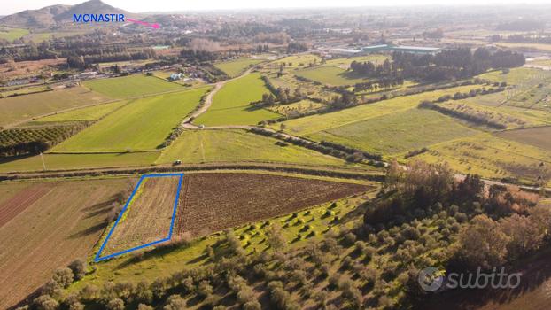 Terreno agricolo monastir