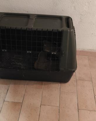 Trasportino per cane di grossa taglia