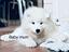 Immagine 5