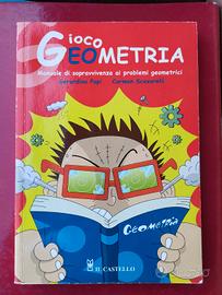 libro di geometria 