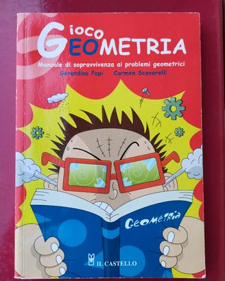libro di geometria 