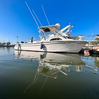 Grady white 282