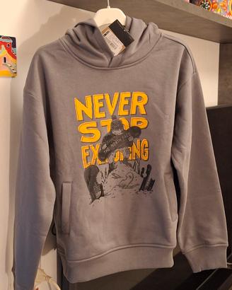 Felpa con cappuccio The North Face 