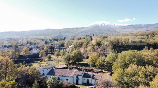 Incantevole casale con palmento e castagneto