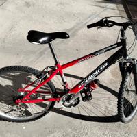 Bicicletta Ragazz*