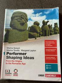 PERFORMER SHAPING IDEAS 1