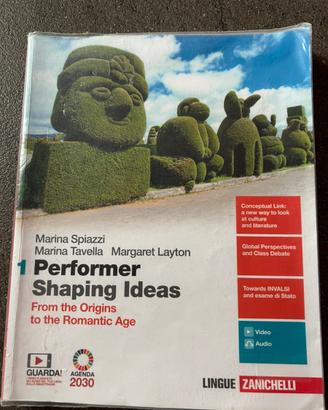 PERFORMER SHAPING IDEAS 1