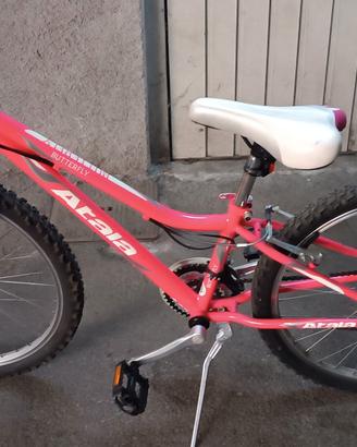 bici mtb