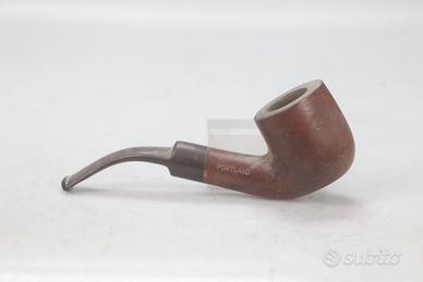 Pipa Portland Prince Albert