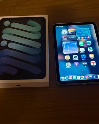 Ipad Mini originale Apple