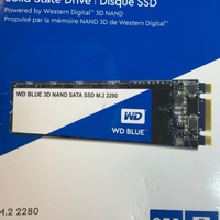 ssd wd m.2 2280