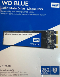 ssd wd m.2 2280
