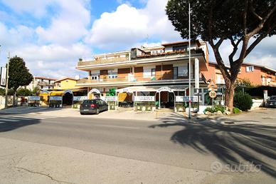 3 LOCALI A ARDEA