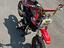 Immagine 5