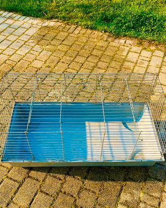GABBIA CONIGLI