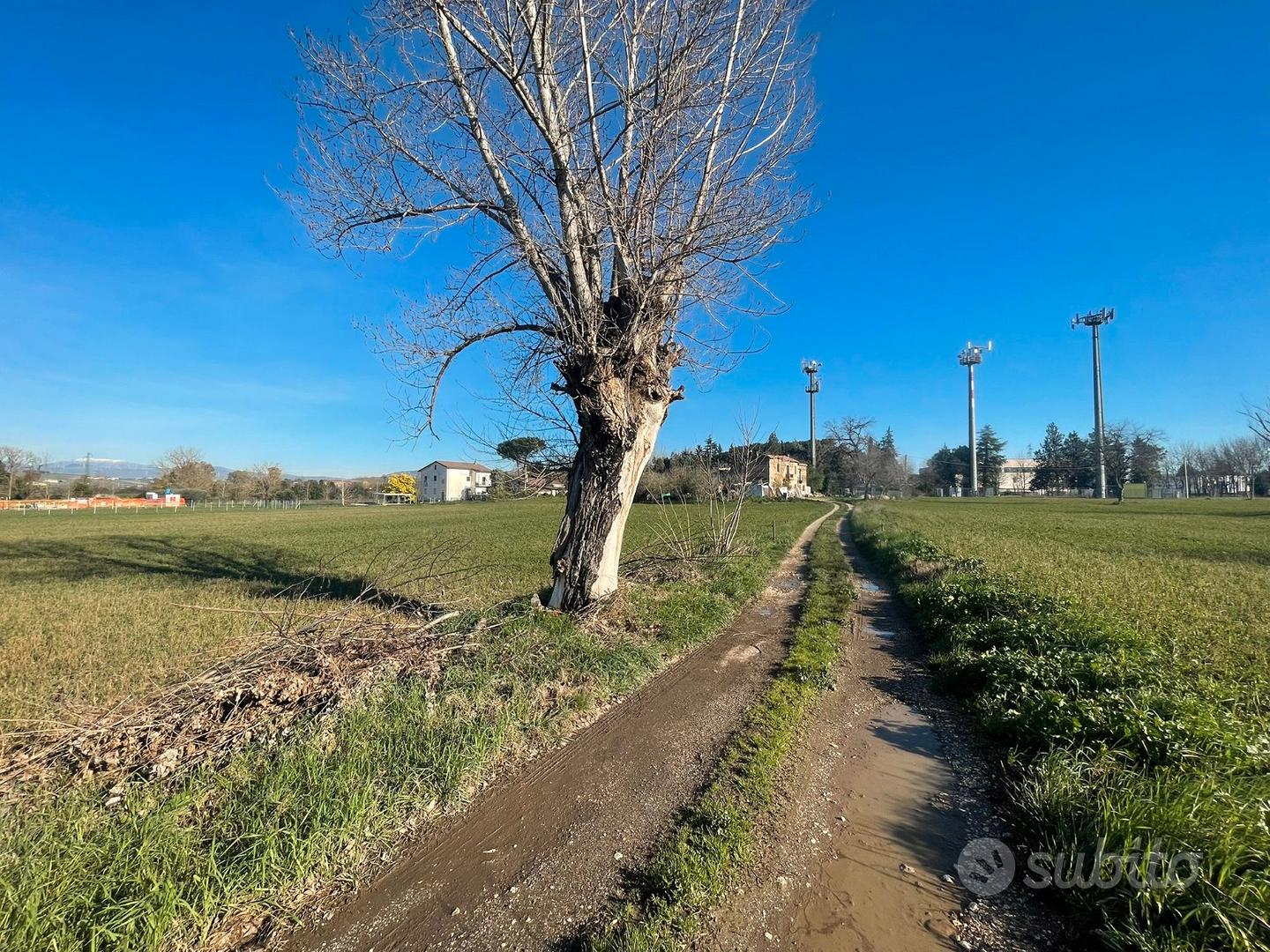 Terreno edificabile uso residenziale - Ferrovia BN - Vista 5