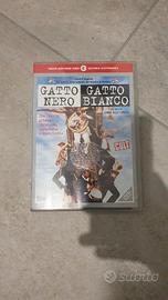dvd gatto nero gatto bianco