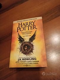 libro Harry Potter 