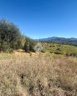 TER. AGRICOLO A MENTANA