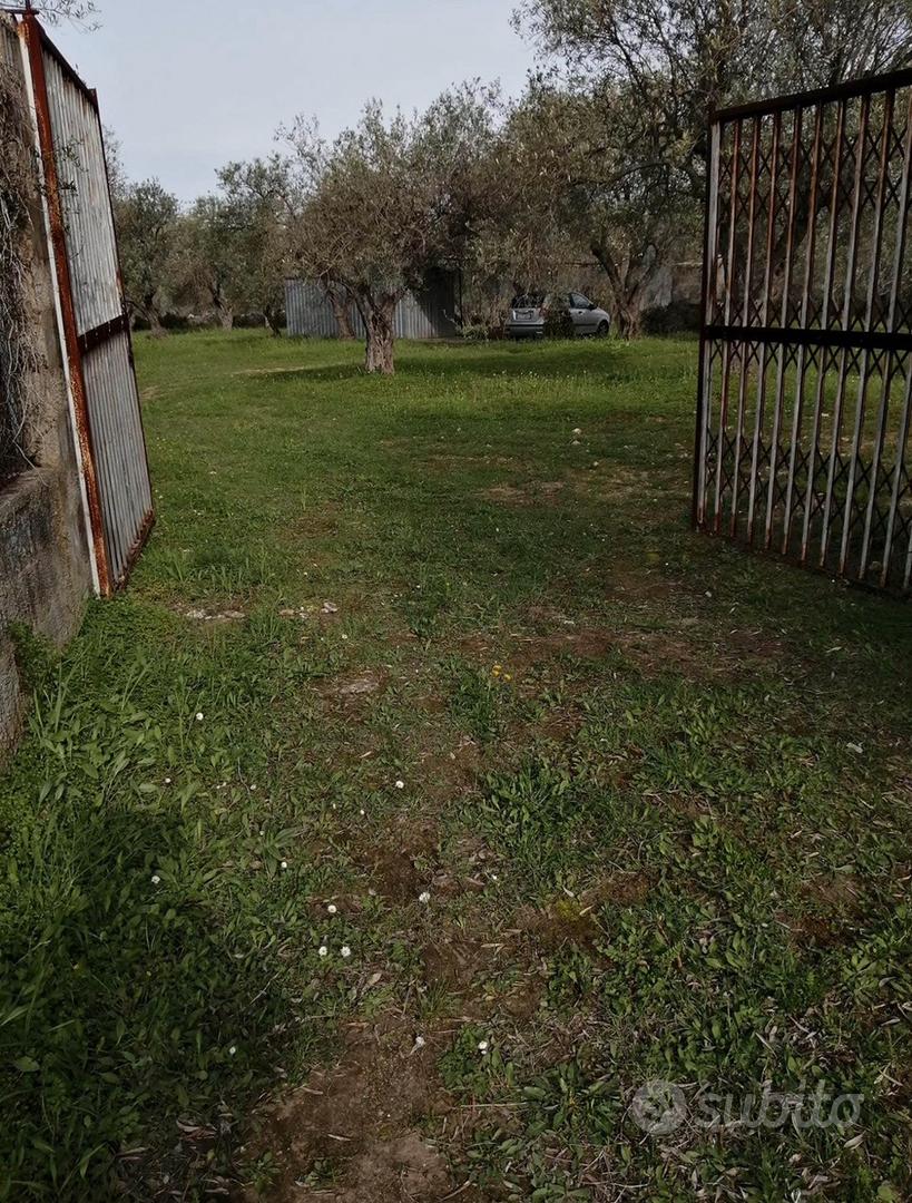 Uliveto - Vista 5