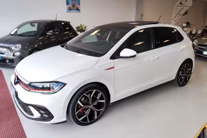 Volkswagen Polo 2.0 TSI DSG GTI