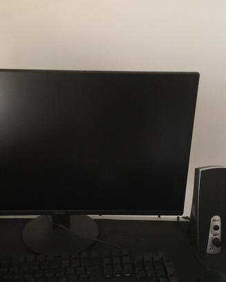 monitor Msi 24 pollici 
