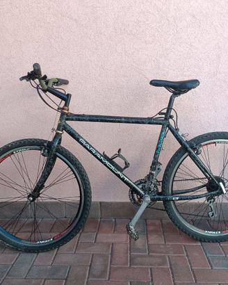 Bici MTB schwinn Paramount