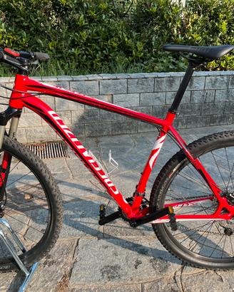 Bici specialized